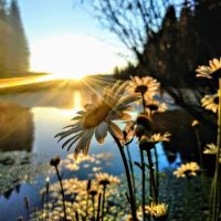Snake Lake Campground ico