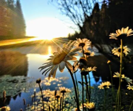 Snake Lake Campground