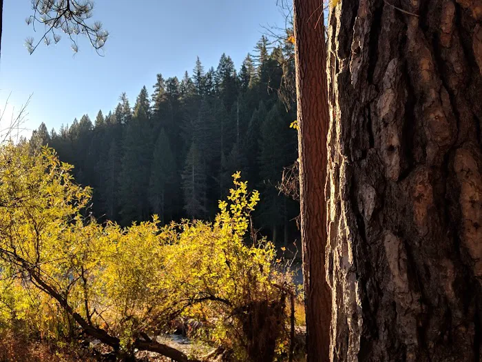 Snake Lake Campground Picture 6