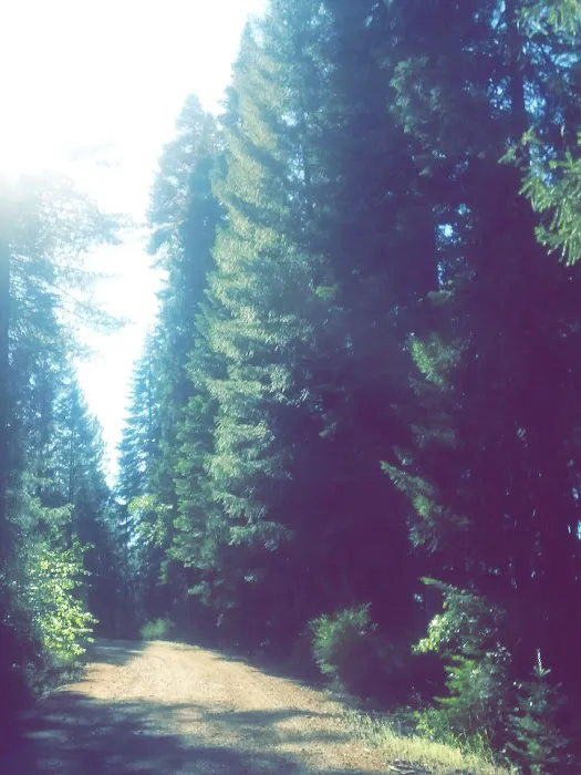 Snake Lake Campground Picture 3