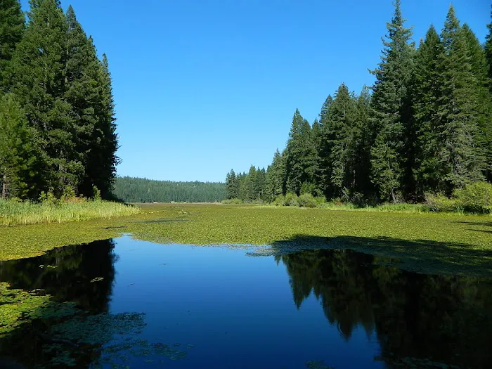 Snake Lake Campground Picture 5