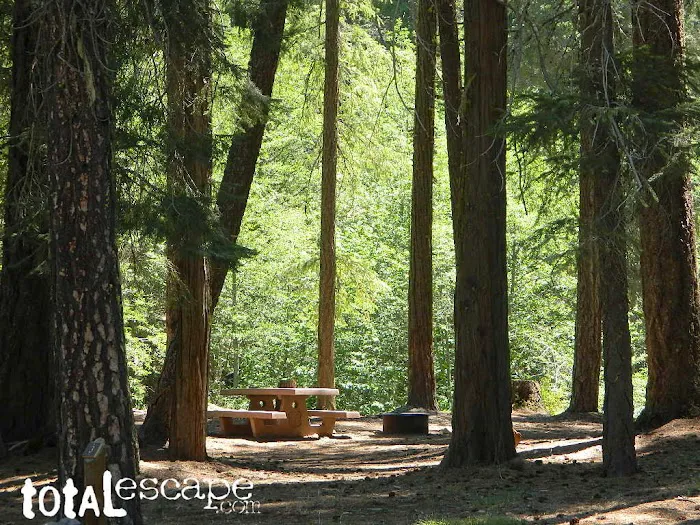 Rock Creek Campground Picture 4