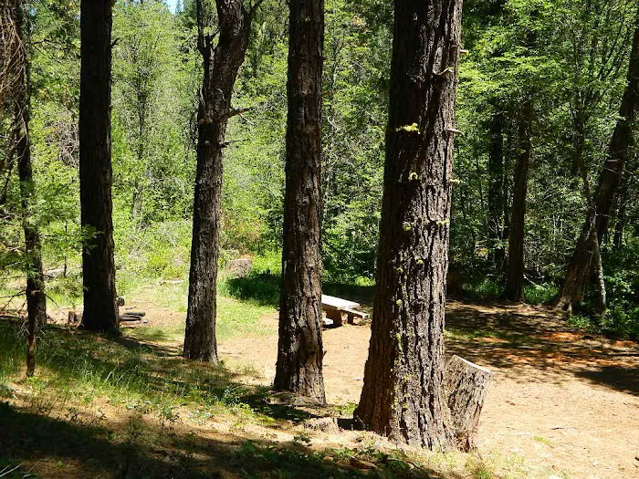 Rock Creek Campground Picture 3