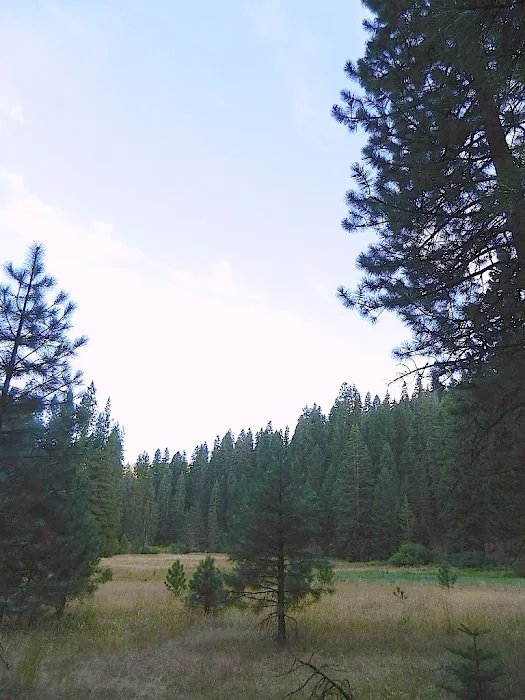 Deanes Valley Campground Picture 5