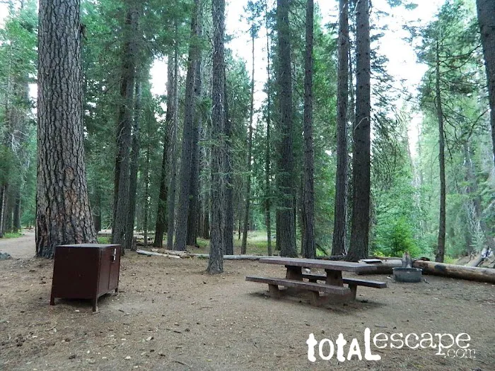 Deanes Valley Campground Picture 7