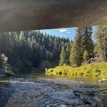 Redbridge Campground