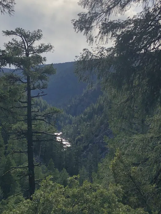 Redbridge Campground Picture 5