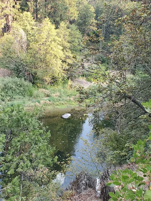 Redbridge Campground Picture 9