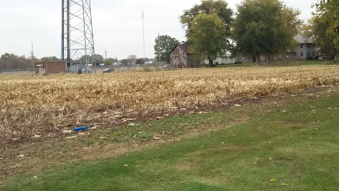 Vermillion Picture 5