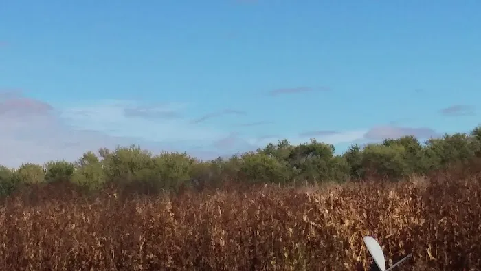 Vermillion Picture 1