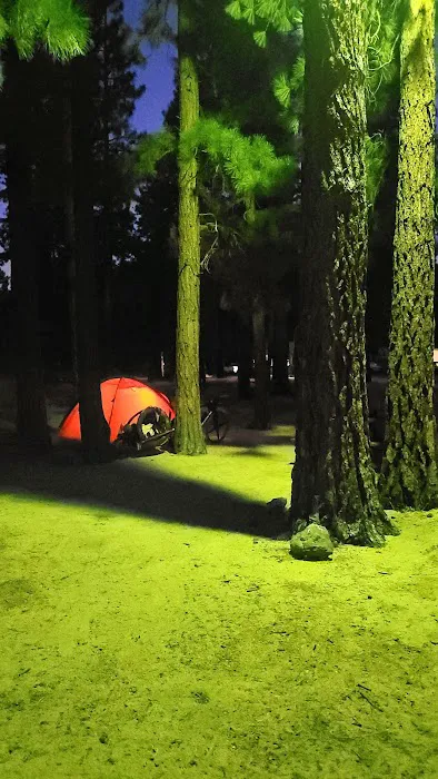 Honey Lake Campground Milford, CA Picture 4