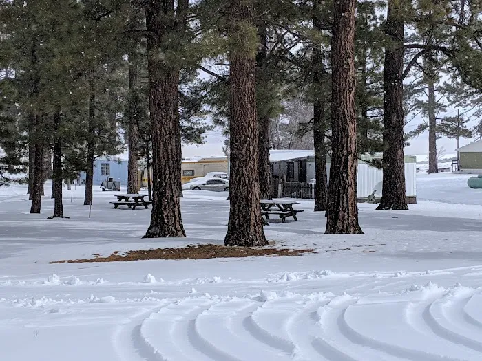 Honey Lake Campground Milford, CA Picture 6