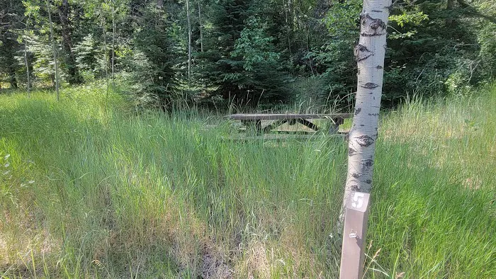 Laufman Campground Picture 3