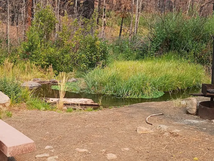 Conklin Park Campground Picture 7