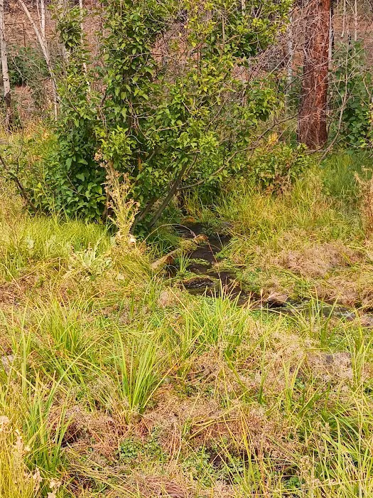 Conklin Park Campground Picture 3
