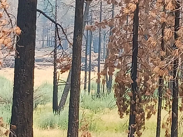 Conklin Park Campground Picture 4