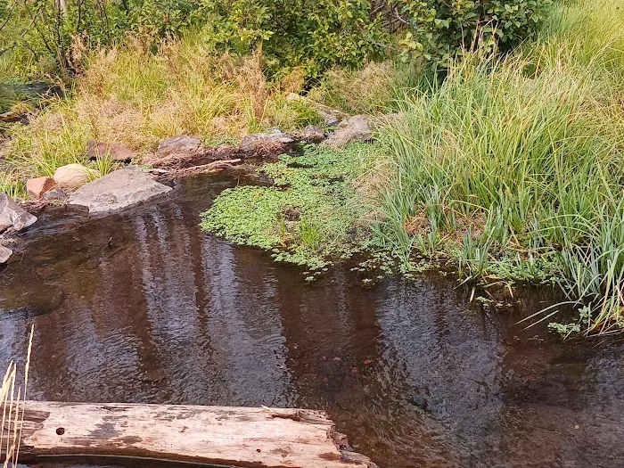 Conklin Park Campground Picture 1