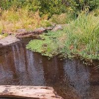 Conklin Park Campground ico
