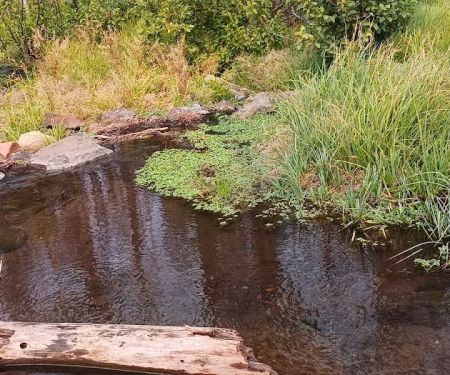 Conklin Park Campground