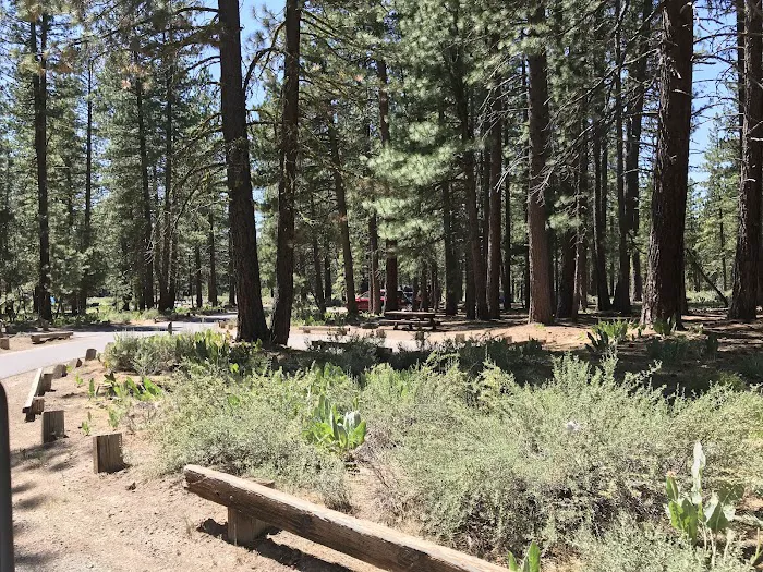 Lightning Tree campground Picture 2