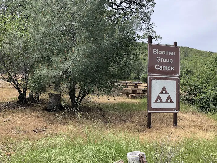 Bloomer North Fork Trail Campground Picture 9