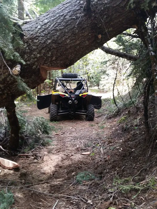 Little North Fork Campground Picture 8