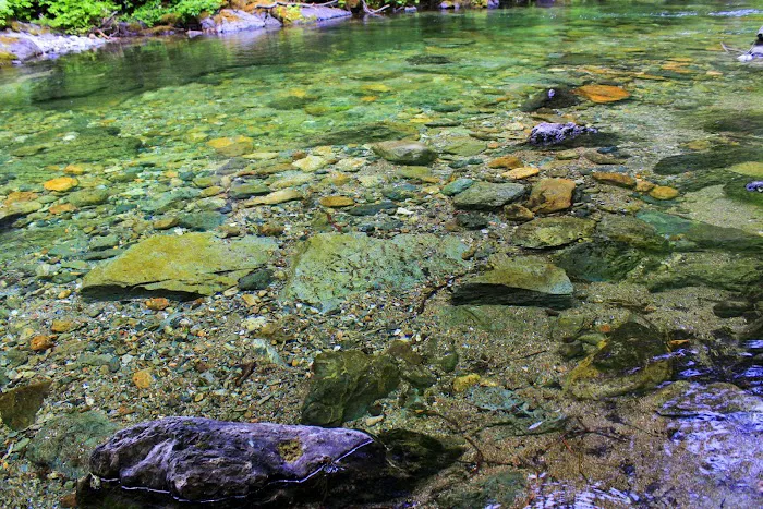Little North Fork Campground Picture 7