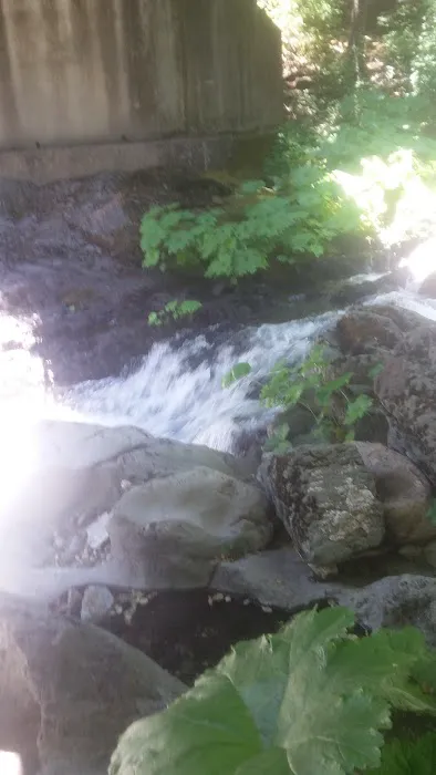 Little North Fork Campground Picture 4
