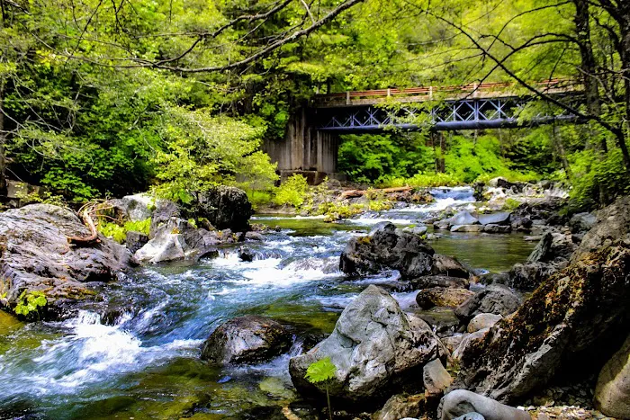 Little North Fork Campground Picture 3