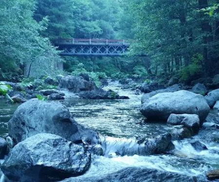 Little North Fork Campground