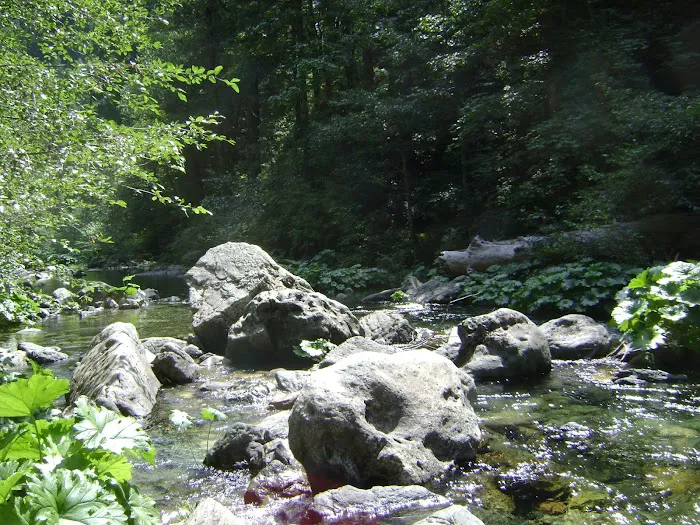 Little North Fork Campground Picture 10