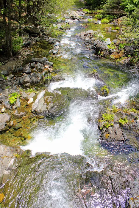 Little North Fork Campground Picture 6
