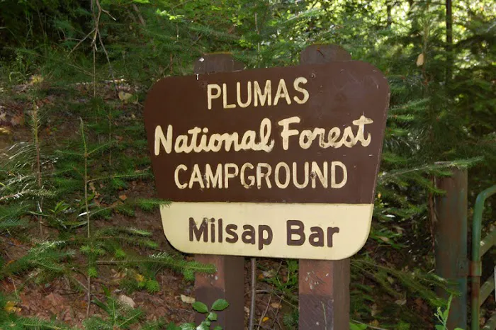 Milsap Bar Campground Picture 4