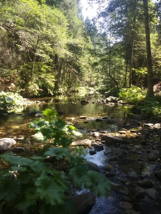 Fall River Campground Picture 8