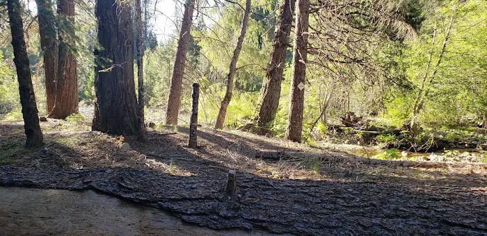 Fall River Campground Picture 6