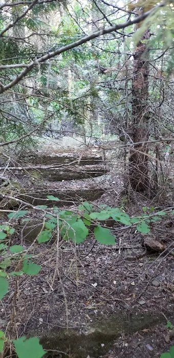 Fall River Campground Picture 3