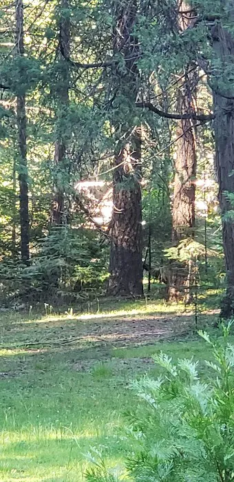 Fall River Campground Picture 5