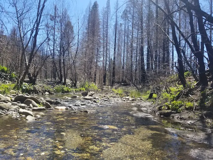 Fall River Campground Picture 10