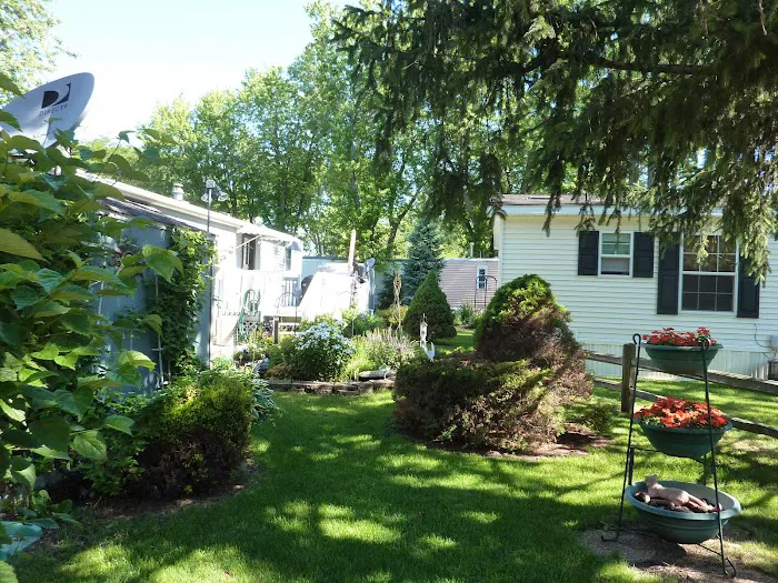 Chain O Lakes Mobile Homes Inc Picture 3