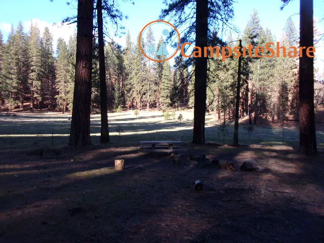 Kingsley Glade Campground Picture 4