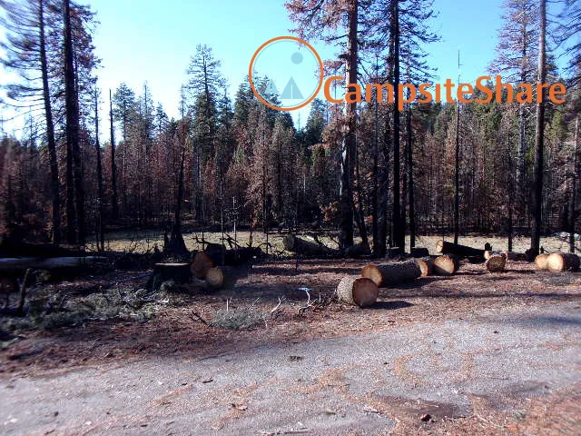 Three Prong Campground Picture 2