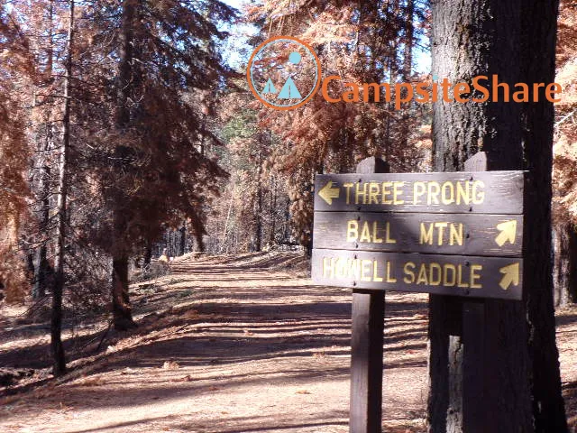 Three Prong Campground Picture 3