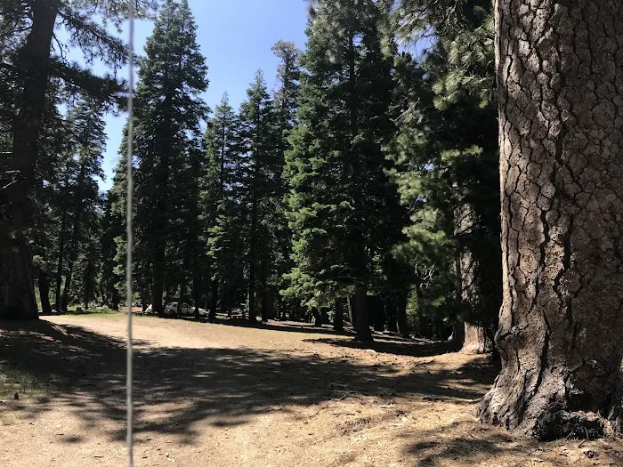 Masterson Group Campground Picture 6