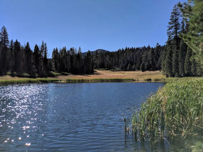 Plaskett Meadows Campground Picture 5
