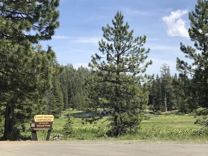 Plaskett Meadows Campground Picture 6