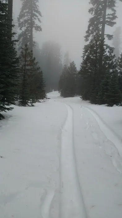 Telephone Campground Picture 1