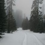 Telephone Campground