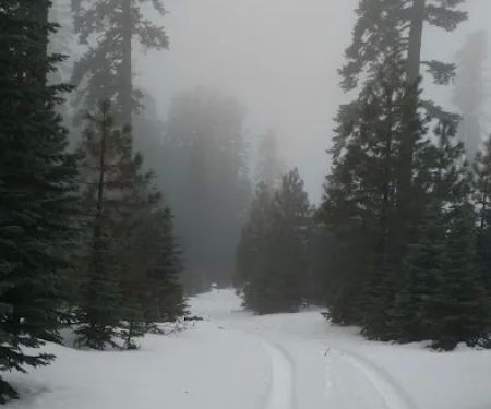 Telephone Campground