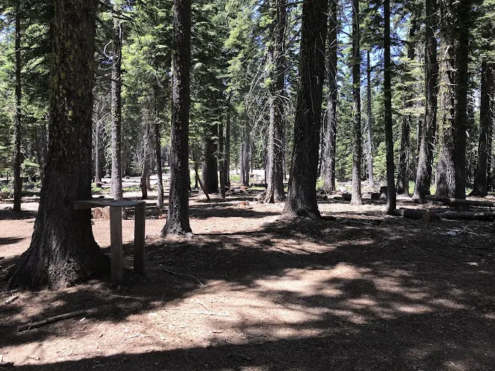 Board Tree Campground Picture 9
