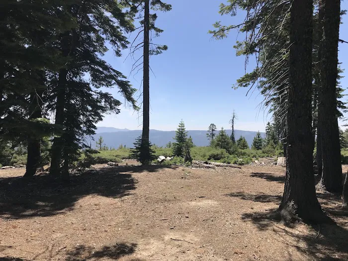 Board Tree Campground Picture 2